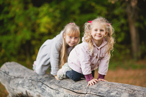 Two cute children on all fours climb, balance on a fallen log in an autumn park.