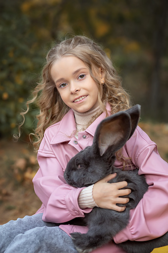 Toddler girl hugs a giant gray rabbit in the autumn forest. Concept love of nature and love for animals.