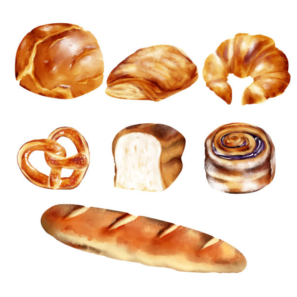 ilustrações de stock, clip art, desenhos animados e ícones de set of bread and wheat pastry bakery watercolor painting vector illustration isolate on white - pastry danish pastry bread pastry crust