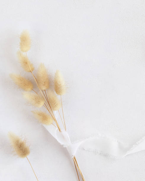 istock Hare's tail grass and silk ribbons on white top view, copy space. Romantic scene 1434081173