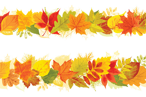 Vector set of backgrounds with autumn leaves. The file contains vector masks.