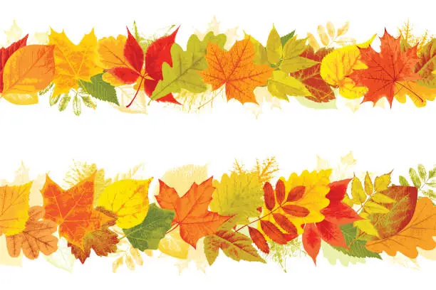 Vector illustration of Vector set of autumn backgrounds