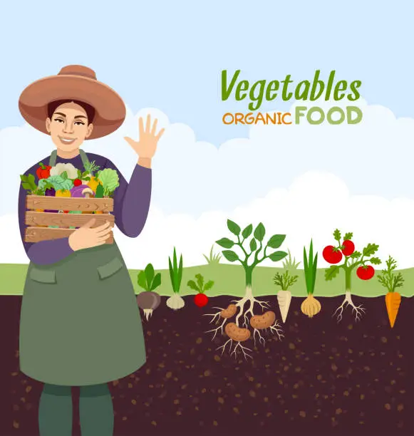 Vector illustration of Autumn harvest. Pretty farmer. Organic Food. Vegetables.