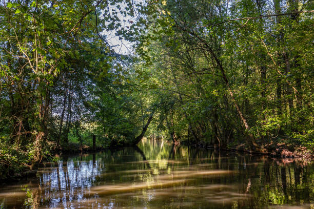 istock Boat trip on an inner canal in the Marais Poitevin 1434088979