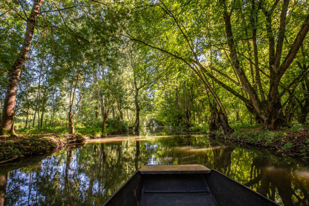 istock Boat trip on an inner canal in the Marais Poitevin 1434089228