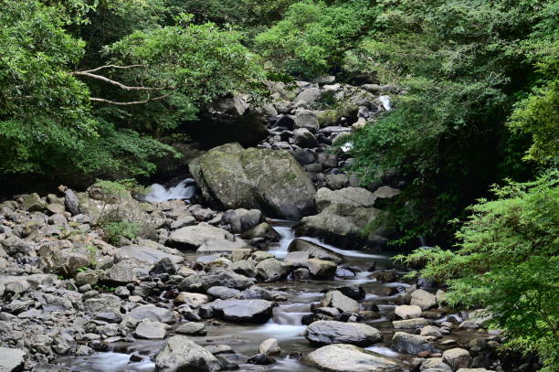istock Manyueyuan National Forest Recreation Area 1434090702