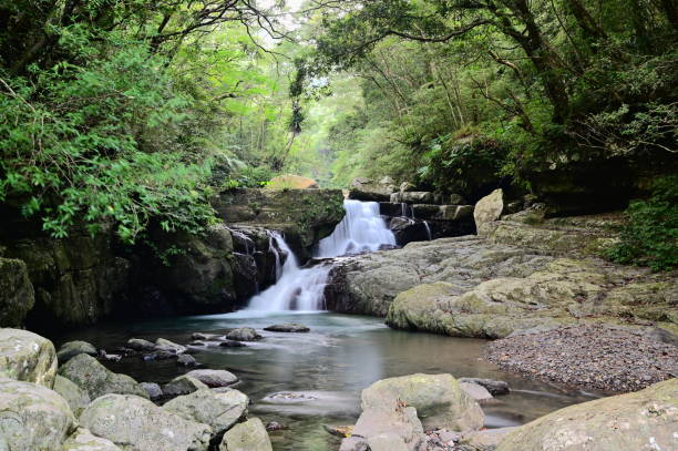 istock Manyueyuan National Forest Recreation Area 1434090751