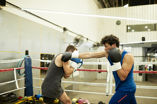 Focused boxer delivers a right hand punch into the shoulder of sparring partner who tries to move aside. Three quarter view with copy space.
