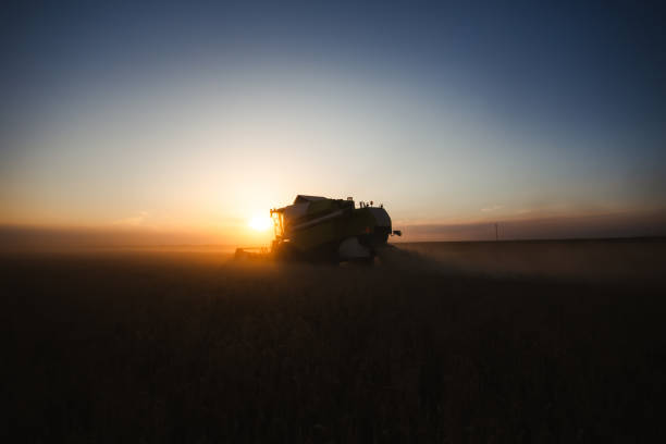 istock Combine harvester at gold light in agriculture fields with wheat 1434099995