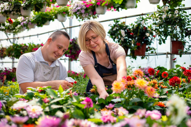 Social inclusion - man with down syndrome working in garden center stock photo