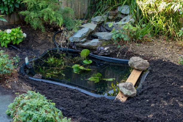 A secluded garden bench by a pond in a corner of the garden