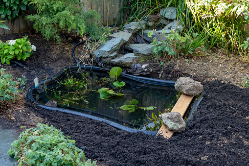 A preformed pond liner newly installed in a garden.