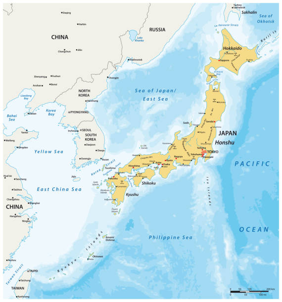 ilustraciones, imágenes clip art, dibujos animados e iconos de stock de mapa vectorial del estado insular asiático japón - shikoku