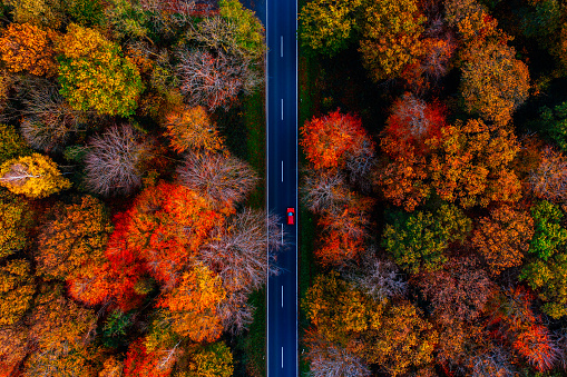 Beautiful scenes created in the Hambach Forest and Eifel in Germany.