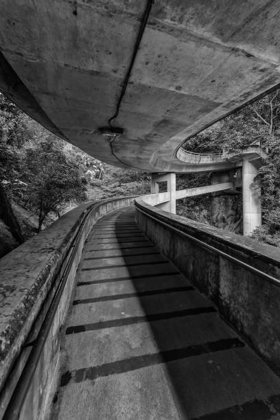 istock A old concrete curve walkway through the forest 1434110510
