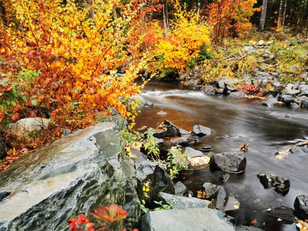 istock Autumn in Nova Scotia 1434110818