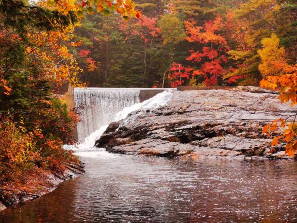 Waterfall surrounded by wet rocks and Fall foliage.
