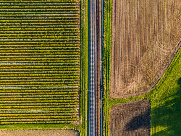 Train tracks between a strawberry field and a field directly from above from a bird's eye view, Germany