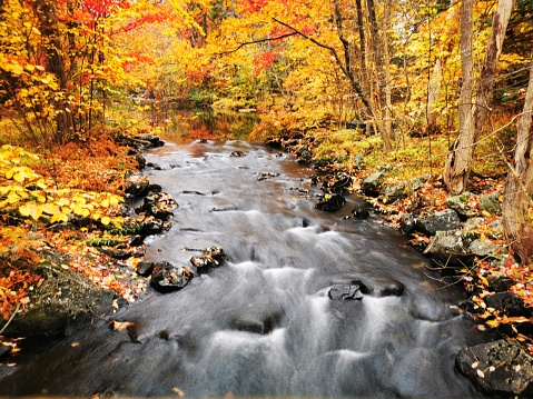 View of the waterfall in autumn. Waterfall in autumn colors. Mountain river in the autumn landscape. Ukraine, river Stryj. High quality photo