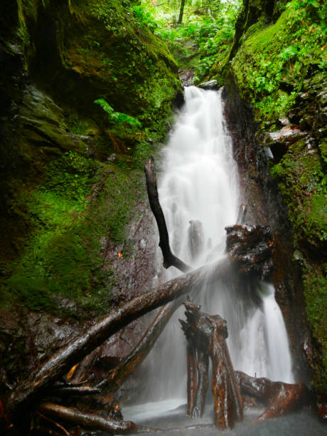 istock A waterfall in Madeira Island 1434111770