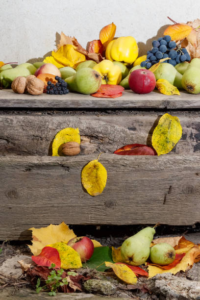 autumn crop on the wooden board. lots of ripe fruits. natural grown food and rural lifestyle