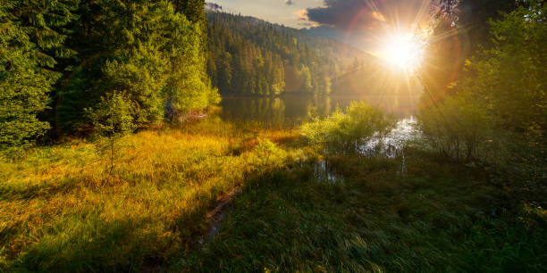 istock lake among the spruce forest at sunset 1434115240