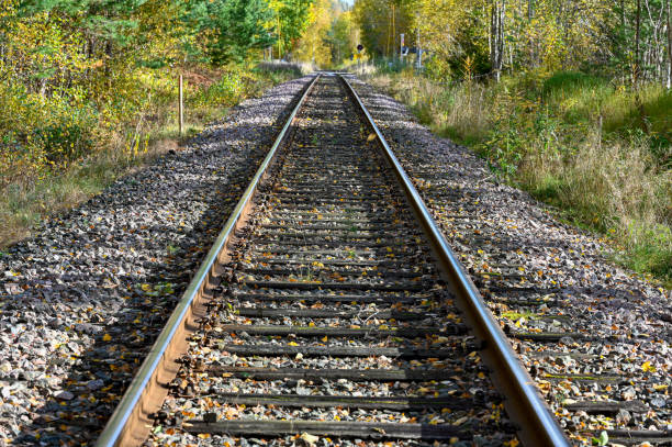 istock rails and sleepers on old railway in october 1434115251
