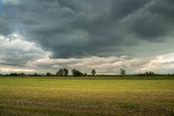 istock A stubble field and rainy clouds on the sky 1434115634