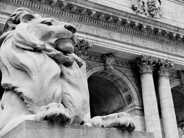 istock The lion looking at the public library 1434117906