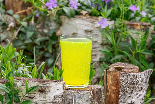 A glass of lemon-colored instant vitamin drink stands on a birch stump surrounded by flowers and leaves