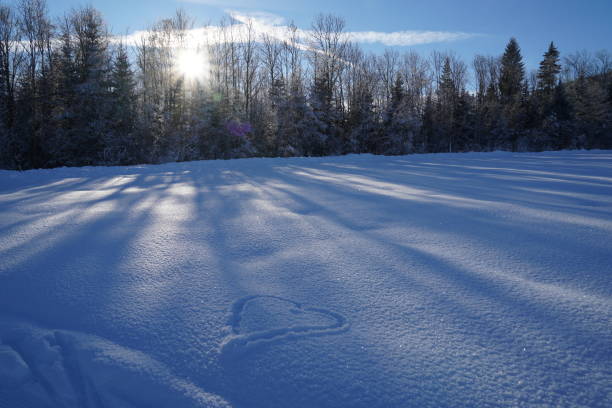 istock Snow covered plain with a row of trees on the background. 1434120905