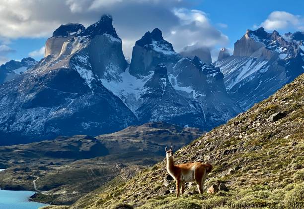 istock Lovely Evening at Patagonia 1434120991