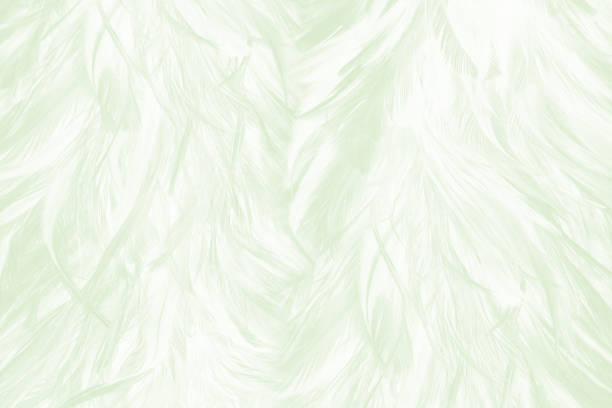 istock Beautiful lime green color trends feather texture background 1434121210