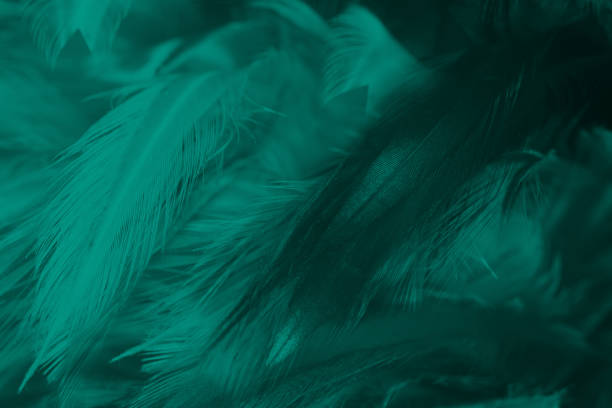 istock Beautiful dark green viridian vintage color trends feather texture pattern background 1434121384