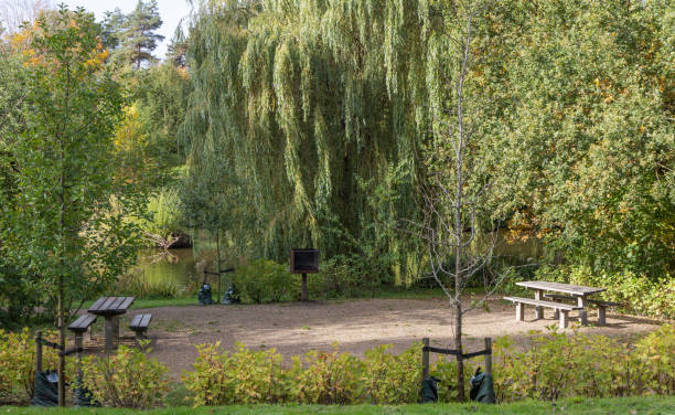istock Picnic area in the park 1434123183