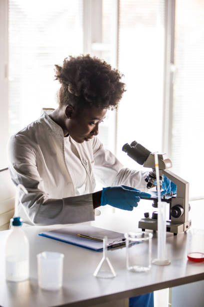 istock Laboratory technician preparing to look at the scientific sample under a microscope 1434124398