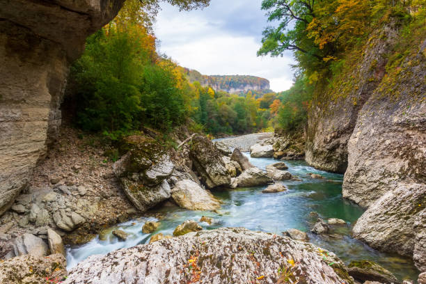 beautiful landscape with a mountain river on an autumn morning