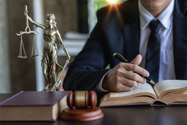 martillo del juez, escalas de la justicia, tigres de la ley, concepto de abogado, protegiendo a los clientes para ganar casos u obtener el mejor interés legal. - civil law fotografías e imágenes de stock