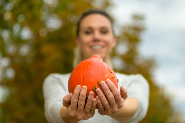 Pumpkin. Autumn fair.