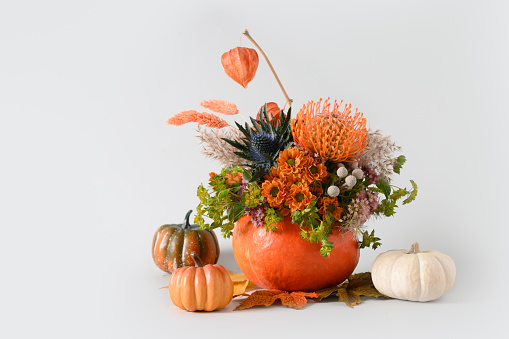 Autumn bouquet with different orange and yellow flowers in pumpkin as vase on gray background for Thanksgiving Day. Copy space. Beautiful floral composition.
