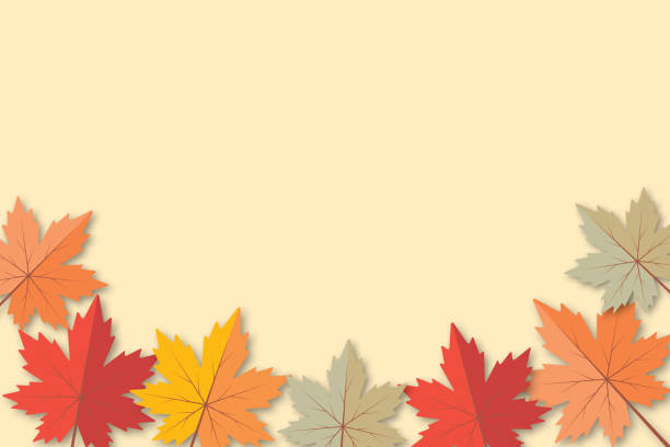 Colorful variegated foliage on pastel background. Maple leaves backdrop. Autumn or fall leaves and thanksgiving day concept. Colorful variegated foliage on pastel background. Maple leaves backdrop. Autumn or fall leaves and thanksgiving day concept. shadow overlay. copy space for text. illustration paper cut design style. thanksgiving live wallpaper stock illustrations
