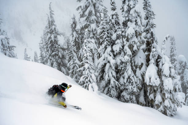 skieur profitant de poudreuse fraîche - skiing powder snow canada winter photos et images de collection