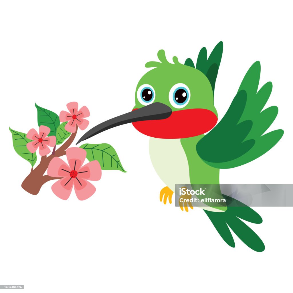 Ilustración de Dibujo De Dibujos Animados De Un Colibrí y más Vectores Libres de Derechos de Ala de animal - Ala de animal, Animal, Animales salvajes - iStock Ilustración de Dibujo De Dibujos Animados De Un Colibrí y más Vectores Libres de Derechos de Ala de animal - Ala de animal, Animal, Animales salvajes - iStock