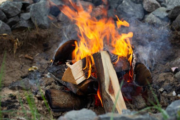 istock Wooden firewood and fire close-up. 1434141288
