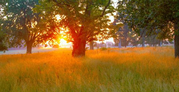 istock Pasture Land at sunrise-Howard County,Indiana 1434141486