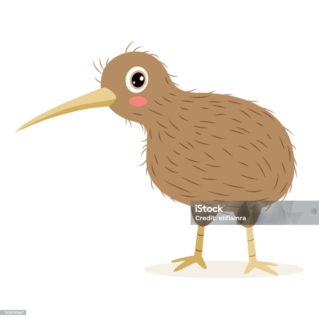 Ilustración de Dibujo De Dibujos Animados De Un Pájaro Kiwi y más Vectores Libres de Derechos de Animal - Animal, Animales salvajes, Cuadrado - Composición - iStock Ilustración de Dibujo De Dibujos Animados De Un Pájaro Kiwi y más Vectores Libres de Derechos de Animal - Animal, Animales salvajes, Cuadrado - Composición - iStock