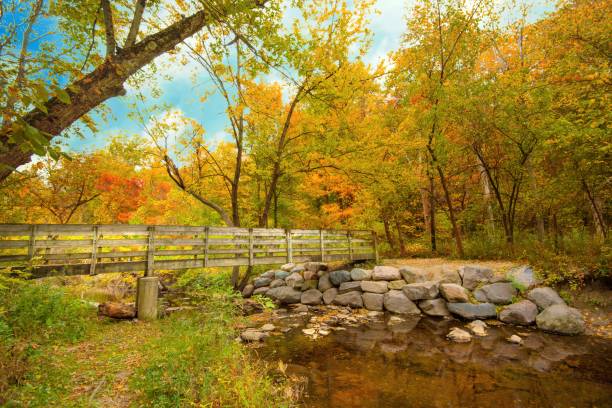 istock Wooden Bridge with small stream and Fall Leaf Colors-Hamilton County, Indiana 1434141838
