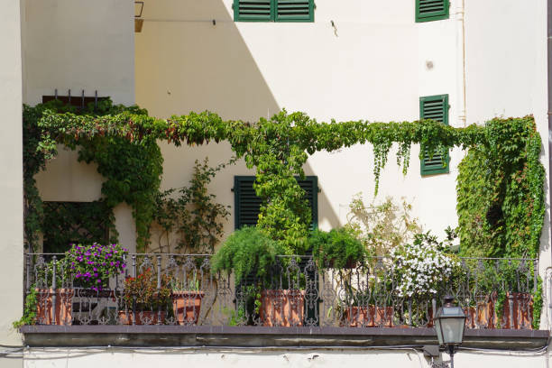 Nice terrace with greenery and shade taken from the hotel room in the center of Florence.
