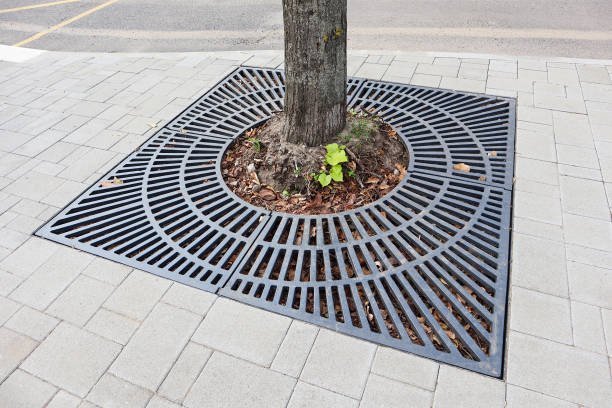 istock Tree trunk in a holder on the street 1434143691