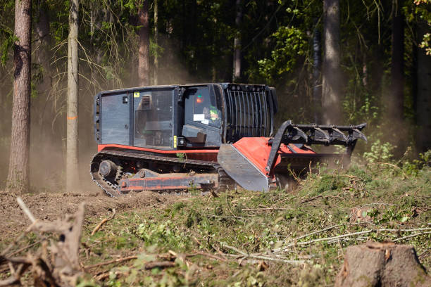 istock forest mulcher that cleans the soil in the forest. tracked general purpose vehicles used for vegetation and biomass management 1434144985